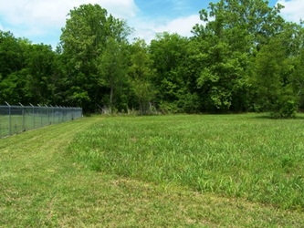 A large grassy field with a chain link metal fence lining the left side of the photo and a big grove of trees in the background.