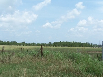 An expansive grassy field with trees lining the horizon and a cloudy blue sky.