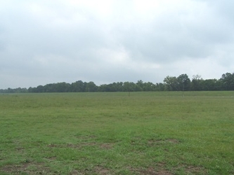 An empty grass field with trees in the background and a cloudy sky.