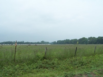 A grass field with a fence in the foreground and trees in the background under an overcast sky.