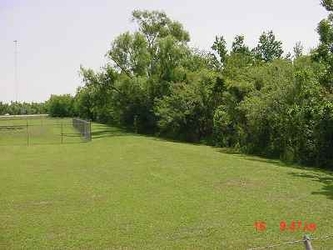 A grass field with trees along the right side and an overcast sky above.