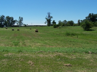 A vast, lush grass field with round haybales scattered in the background, along with trees in the far background under a clear blue sky.