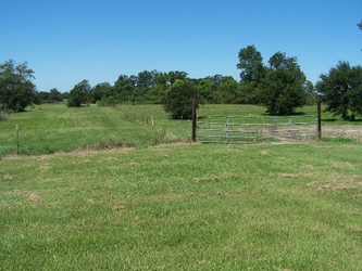 A grass field, divided into fenced pastures with a gate in the middle and trees in the background under a clear blue sky.