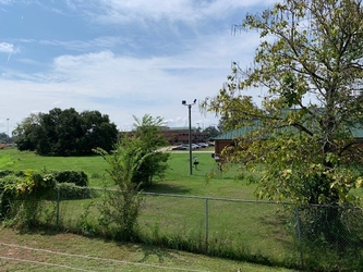 A chain link fence running from left to right with a tree in the foreground and a building with cars in the background.