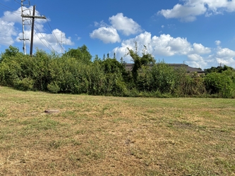 An expansive grassy field with trees and an electrical pole in the background under a cloudy blue sky.
