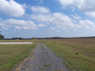 A gravel road surrounded by grass.