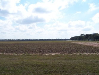 An empty agricultural field.