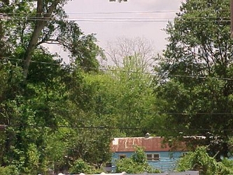 A building in the foreground surrounded by trees and dense foliage.