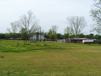 An empty grass field with bare trees and buildings in the background.