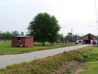 A road running horizontally into the distance towards a building. There is grass on the right side of the road and grass, trees, and a small shed on the left side.