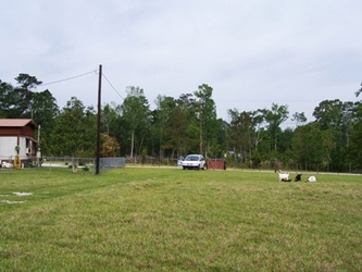 A grass field with trees in the background and part of a mobile home visible on the left.