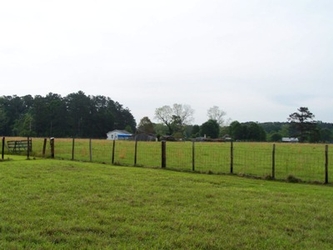 A fence running horizontally through the center of the view with an expansive grass field on either side and trees in the far background.