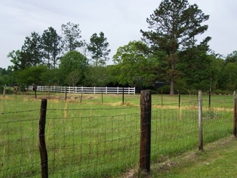 A fenced-in grass field with wired and wooden fencing directly in the foreground and trees in the background.