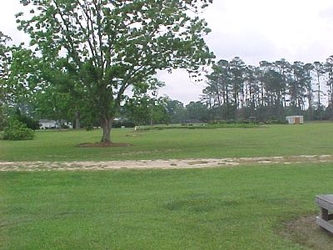 A green grass field with a dirt path running horizontally down the middle and trees in the background.