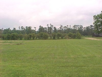 An empty grass field with trees in the background and a cloudy sky.