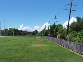 A lush grass field with a wooden fence on the right; trees and electrical poles line the right side and background.
