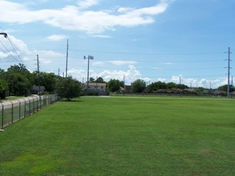 A lush, green grass field bordered by fencing, trees, and electrical poles along the left side and background.