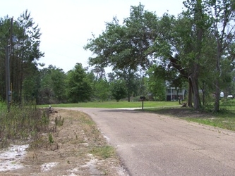 A road on the right winding towards the left, a barren road shoulder on the left, a grass field to the right of the road, and trees filling the background.
