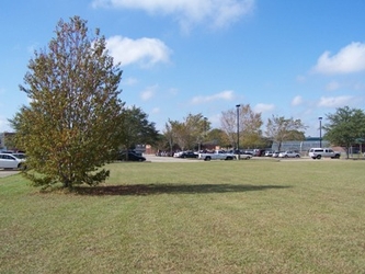 A grass field with one tree to the left along with more trees and vehicles in a parking lot in the background.