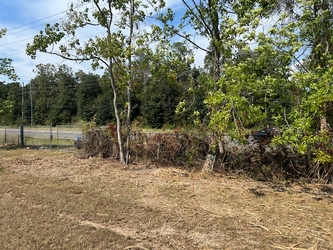 A small cleared plot in the foreground, a line of trees and a gate in the center, and a road behind that with forest in the background.