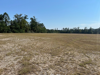 An expansive barren field with a forest lining the background.