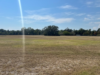 An expansive, empty field with forest lining the horizon under a clear blue sky.