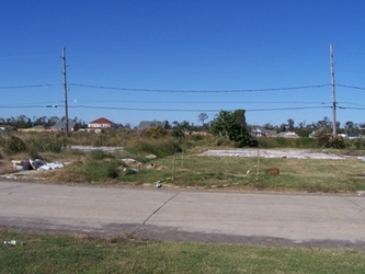 A road running horizontally down the middle with grass on either side and various foliage and electrical lines in the background.