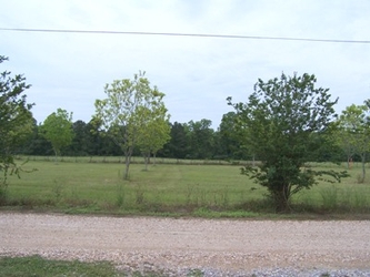 A gravel road in the foreground and an empty grass field in the background with a few trees near the road and dense forest on the horizon under an overcast sky.