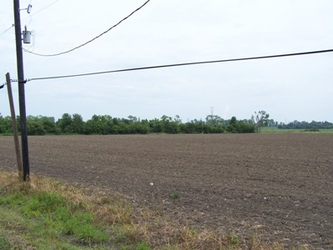 A vast, barren field of tilled dirt rows with trees in the far background and an electrical pole in the left foreground.