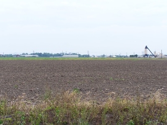 A vast, barren field of tilled dirt rows stretching into the distance with dead grass in the foreground and a green grass field in the far background under an overcast sky.