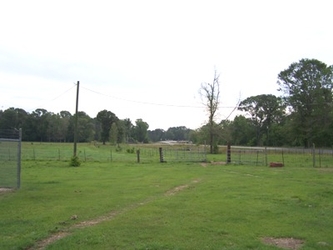 A large, green grass field with a narrow dirt walking path in the center, fencing further back, and trees in the far background.