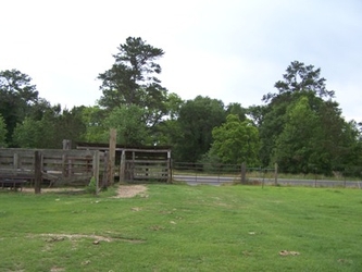 A grass field in the foreground, wooden fencing and a gate in the center, and trees in the background under a cloudy sky.