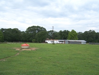 A vast grass field with a dirt path to the left leading to a livestock feeder, plus a barn in the distance and trees in the background under a cloudy sky.