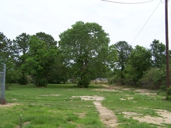 An empty grass and dirt field with trees in the background and an electrical pole on the right side under an overcast sky.