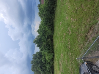 An empty, patchy grass field with part of a car and fence visible in the foreground and trees in the background under a very cloudy sky.