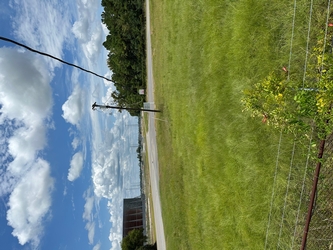 Lush grass in the foreground and a road in the background with a large metal structure and trees beyond the road.