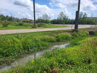 A ditch of muddy water in the foreground, flanked by densely vegetated banks on either side; a gravel road runs parallel to the ditch with more vegetation and trees beyond it.