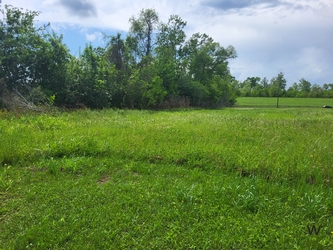 A vast and lush green grass field with trees along the left side and the background under a cloudy sky.