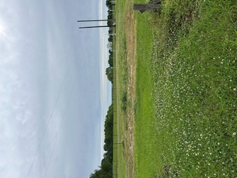 A lush grass field with chain-link fencing toward the back and trees in the far distance under an overcast cloudy sky.