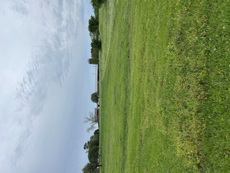 A vast, lush grass field with homes and trees in the far background under an overcast sky.