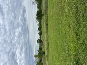 A lush grass field, divided into fenced pastures with a gate in the middle and trees in the background under a very cloudy sky.
