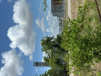 Foliage in the foreground, partially obscuring the view of a dead grass field divided by a road in the center of the view, with metal structures in the background along with trees.